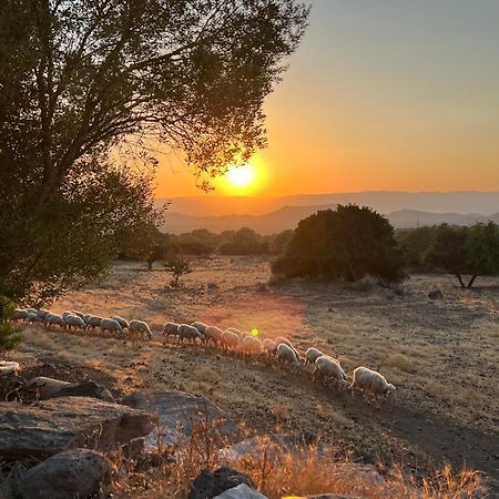 Vila Su Saucu Dorgali Exteriér fotografie
