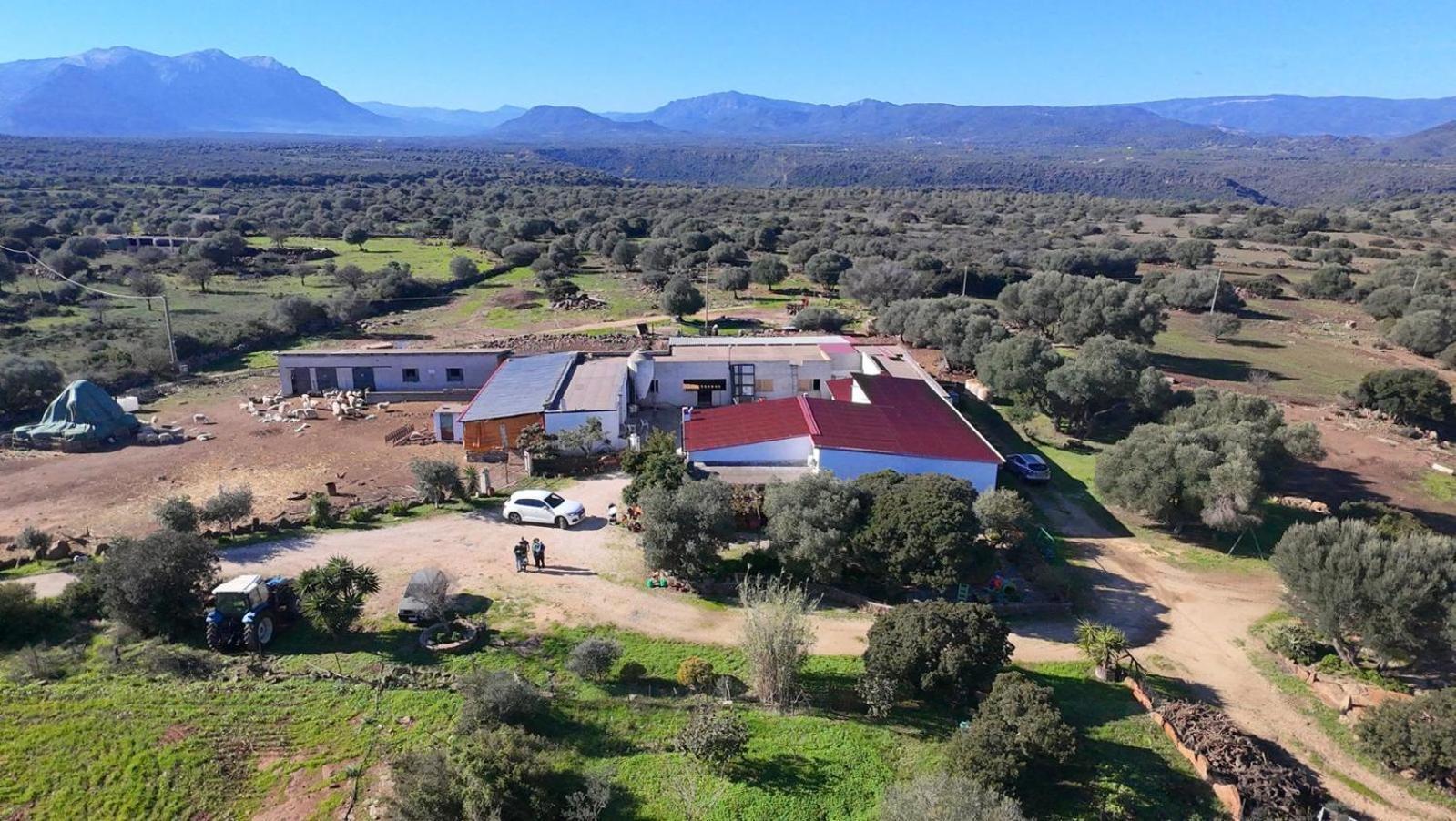 Vila Su Saucu Dorgali Exteriér fotografie