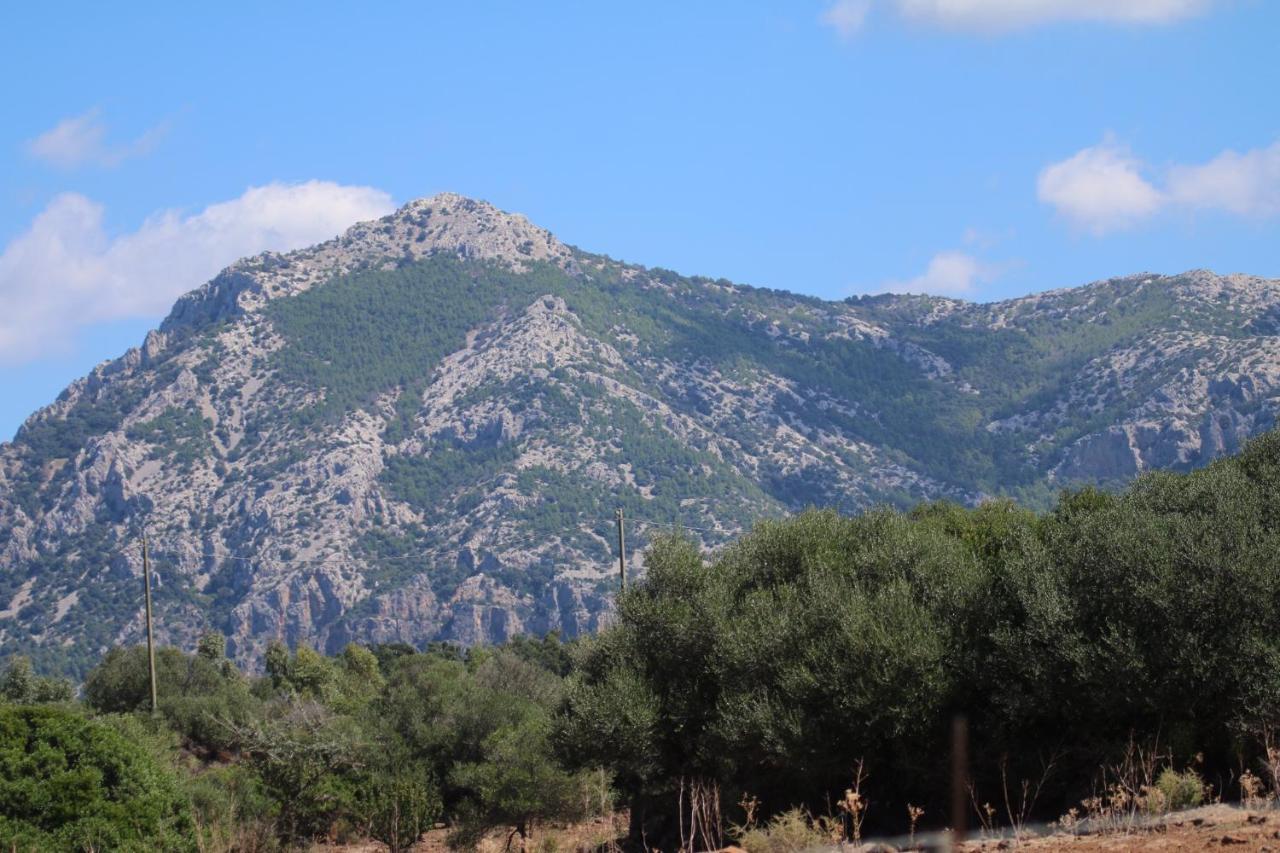 Vila Su Saucu Dorgali Exteriér fotografie