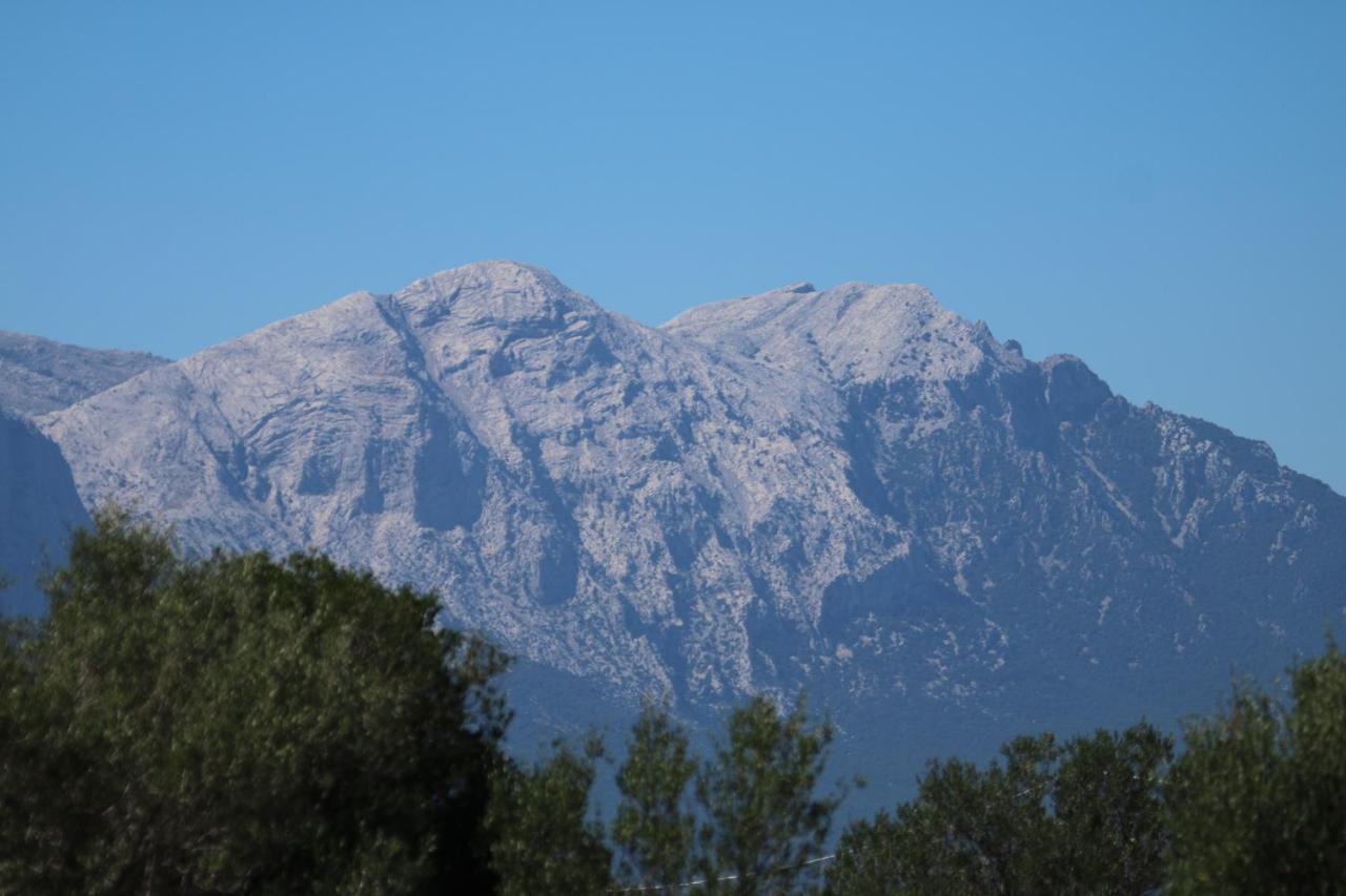 Vila Su Saucu Dorgali Exteriér fotografie
